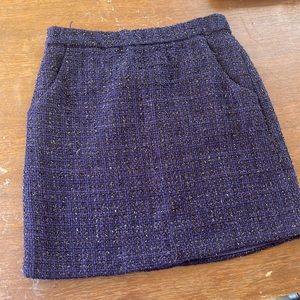 NWOT blue winter skirt